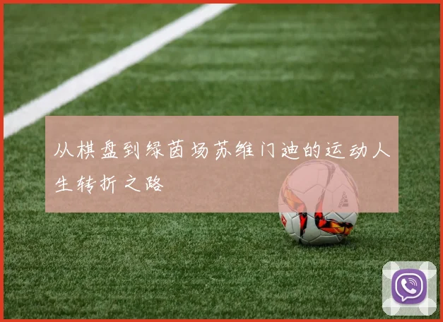 从棋盘到绿茵场苏维门迪的运动人生转折之路